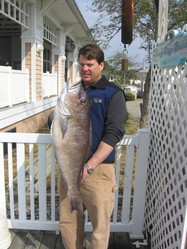 Picture of State Record Blueline Tilefish
