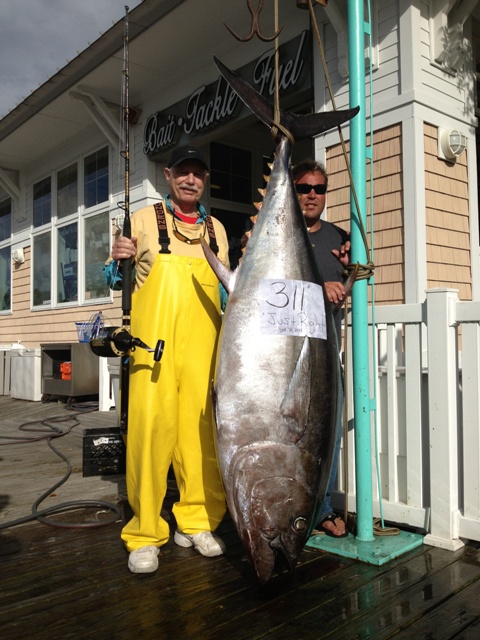 State Record Bigeye Tuna caught by Vic Gaspeny, of Tavernier