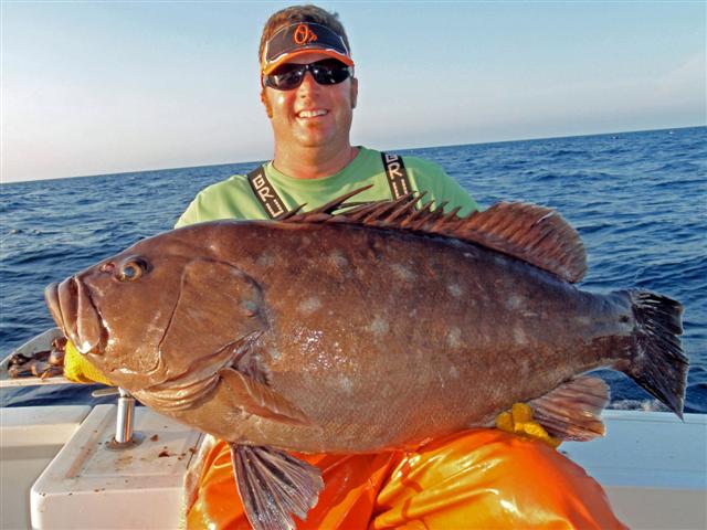 State Record Snowy Grouper