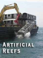 Artificial Reefs