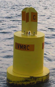 The Cell Buoy