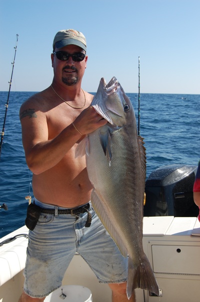 Picture of State Record Blueline Tilefish